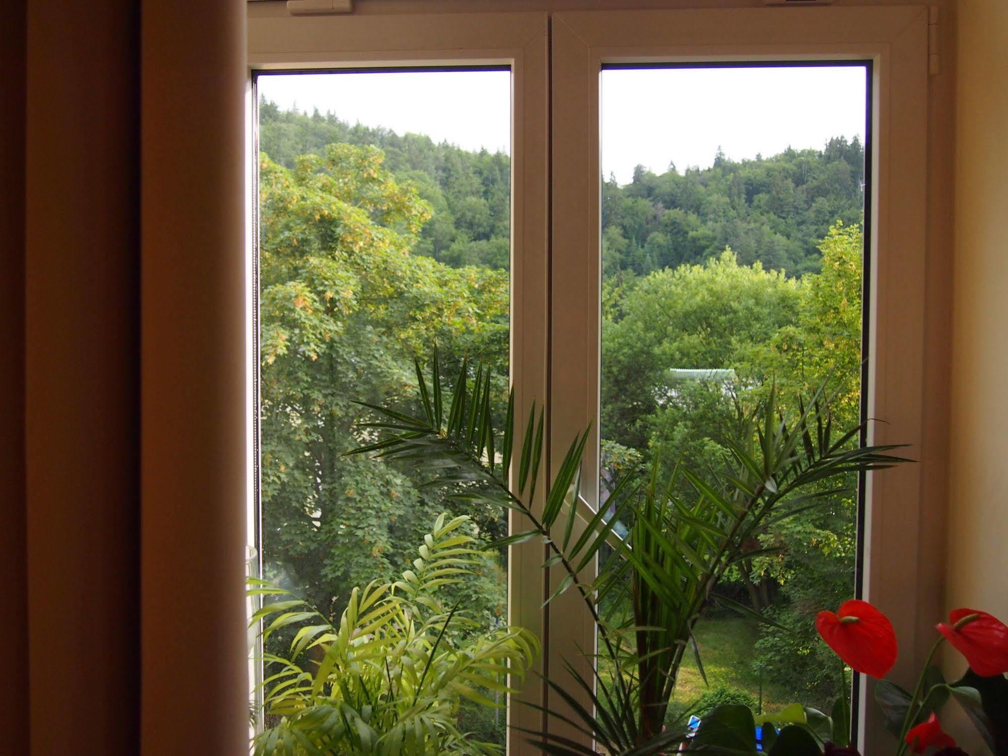 Lyra Apartments Karlovy Vary Extérieur photo